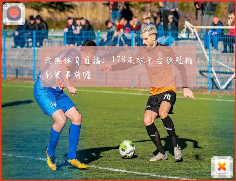 雨燕体育直播：178足球平台欧冠精彩赛事前瞻